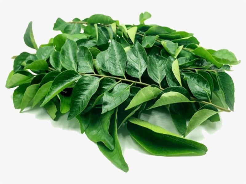 Curry Leaf